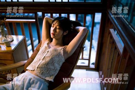 PDL潘多拉 - 看陈雅漫的连衣裙图集，下载的时候倒是几乎被吸引住了。