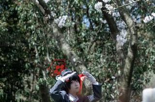 一份特别的女仆志向：来自矢量鱼的无圣光图集