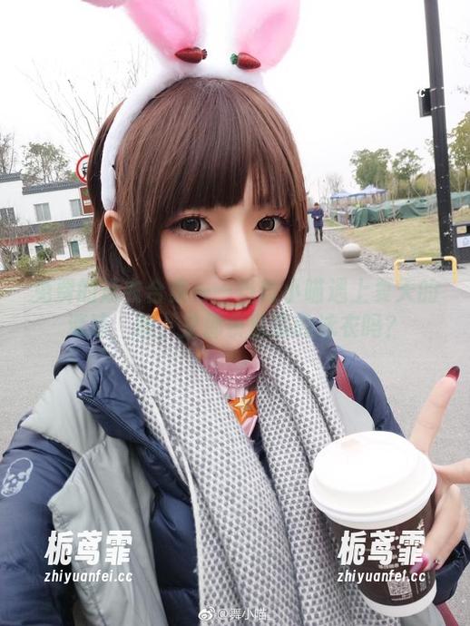免费的泳衣合集——当舞小喵遇上夏天的清凉，哦，是那条坠落的泳衣吗？